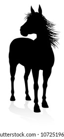 A high quality very detailed horse in silhouette