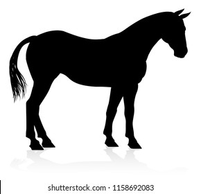 A high quality very detailed horse in silhouette