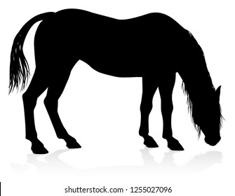 A high quality very detailed horse in silhouette