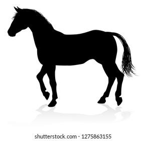 A high quality very detailed horse in silhouette