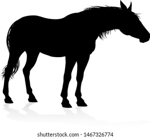 A high quality very detailed horse in silhouette