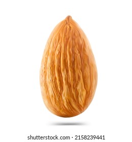 High realistic almond nut isolated on white background. Vector illustration. Ready to use for your design, presentation, promo, ad. EPS10.