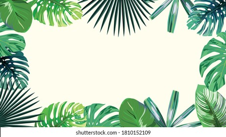 A high resolution 4k green botanical tropical leaves frame. Exotic wallpaper on white background. Summer sale border.