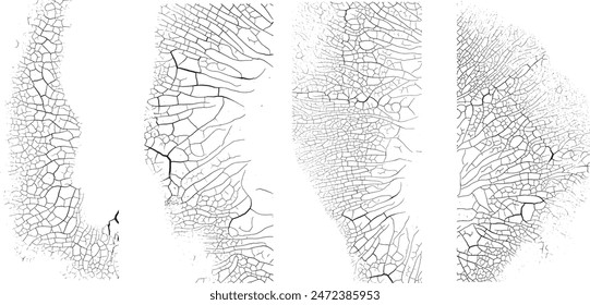 high resolution dry water Cracked texture 
