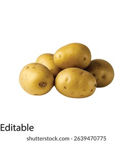 High resolution vector illustration of potatoes