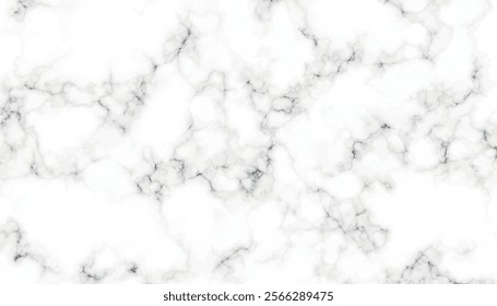 High resolution white grey gray Carrera marble stone texture. White, black, white and black Stone ceramic art wall interiors backdrop design.	