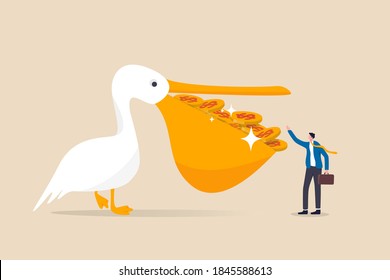 High Return Investment, Bargain Stock Buying With High Profit And Dividend, Savings And Wealth Management Concept, Pelican Bird With Full Of Dollar Money Coins In His Mouth Giving To Rich Man Investor