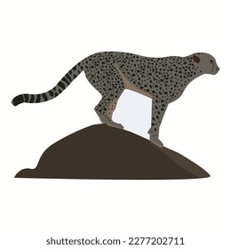 Un Chita de alta velocidad está ejecutando arte vectorial