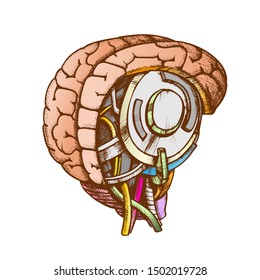 High Technology Robotic Brain Color Vector. Artificial Intelligence Concept In Form Of Human Brain. Electronic Mind Cyberbrain Hand Drawn In Vintage Style Illustration