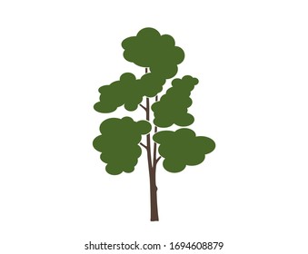 high tree icon. nature and outdoor design element. isolated vector tree image