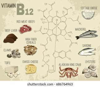 High Vitamin B12 Foods. Healthy Seafood, Meat, Fish, Crab, Tofu, Cottage Cheese And Oysters. Vector Illustration In Retro Style On A Light Beige Background.
