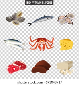 High vitamin B12 Foods. Healthy seafood, meat, liver, fish, crab, cottage cheese,  tofu and oysters. Vector illustration isolated on a transparent background.
