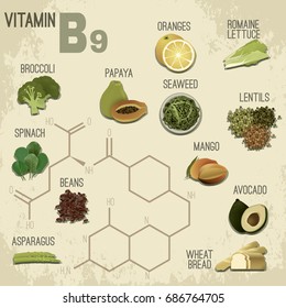 High vitamin B9 Foods. Healthy fruits, berries, nuts, lentils, greens and vegetables. Vector illustration in retro style on a light beige background.