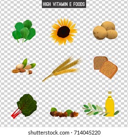 High vitamin E foods. Vector illustration isolated on a transparent background. Healthy food collection.