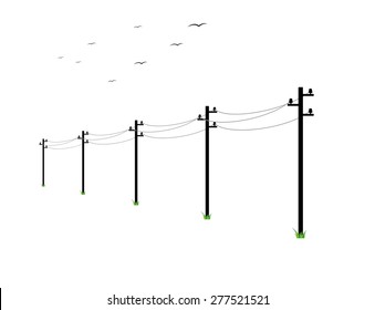 high voltage power lines and birds on white background