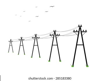 high voltage power lines and birds on white background