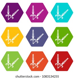 High wheat icons 9 set coloful isolated on white for web