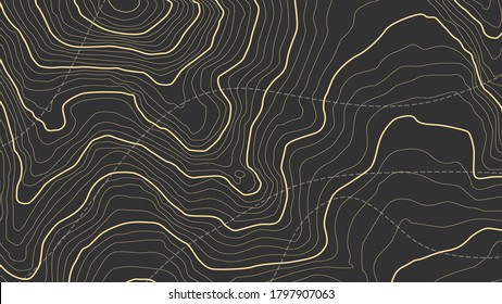 Contorno topográfico de alta altitud en el estilo de cables conectados. El concepto de patrón geográfico condicional y topografía. Blanco y negro. Cibersistemas, interconectados. Ilustración vectorial.