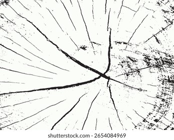 A high-contrast, abstract black and white image showcasing the intricate details of wood grain. The silhouette style highlights prominent growth rings and natural cracks, creating a textured visual.
