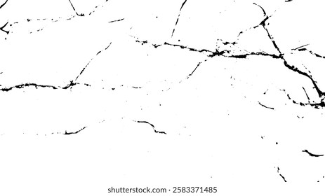 A high-contrast abstract texture featuring black veins on a white background, resembling marble or stone. Ideal for backgrounds or design elements.