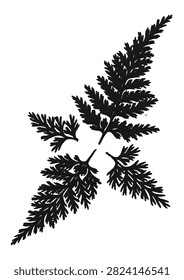 High-contrast black fern leaf frond silhouette isolated on a clean white background. Features intricate botanical details with serrated leaf structure and fine line texture. Perfect graphic asset for floral craft projects, eco logo branding, minimalist wall art prints, stamp overlays, nature-themed web graphics, and organic product packaging.