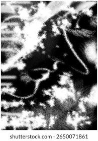 a high-contrast black and white abstract composition with a textured, almost grainy or frosted appearance.