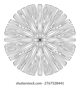 A high-contrast, black and white circular mandala design featuring dense, intricate line art that radiates from the center. The pattern displays radial symmetry with numerous thin, flowing lines that create a complex, floral-like shape, making it suitable for coloring books, decorative art, or meditation aids.