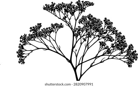 A high-contrast black and white silhouette of a delicate flowering plant branch against a plain white background.