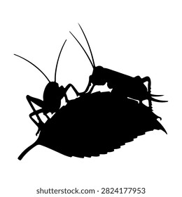 A high-contrast black and white silhouette of two insects interacting on a leaf, highlighting their shapes and details against a plain background.