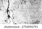 High-Contrast Grunge Texture with Deep Cracks and Grain | Abstract Black and White Distressed Concrete Overlay | Weathered Asphalt Surface with Intricate Fissures | Gritty Monochrome Urban Wall Texture Background | Distressed Stone Surface with Heavy Erosion and Cracking