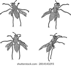 High-contrast isometric 3D model of a wild yellow jacket wasp pest isolated on a white background for educational graphics