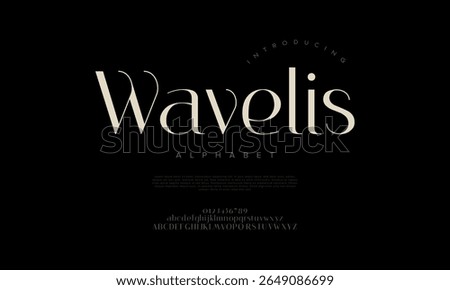 High-contrast modern serif font with clean curves and stylish elegance, ideal for high-end design and branding