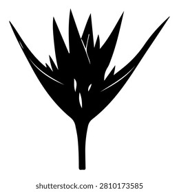 High-contrast silhouette of a spiky flower with sharp petals, emphasizing its unique shape and intricate details against a plain background.