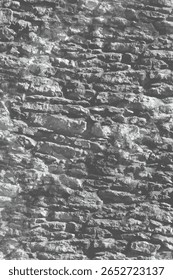 High-contrast stone texture with rough natural surface. Suitable for backgrounds, 3D mapping, or architectural concepts.