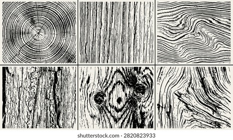 High-contrast timber textures including tree rings and bark for rustic designs.