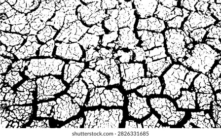 A high-contrast vector texture illustration depicting cracked dry earth and parched ground. Features a detailed network of black fissure cracks and fine surface fractures on a white background, capturing drought-stricken soil, desert floor, or peeling distressed paint. Ideal for grunge background overlays, climate change concepts, drought illustrations, vintage distressed textures, photo filters, and abstract vector patterns.