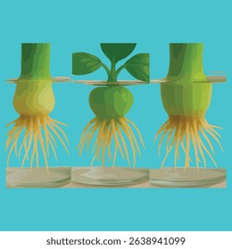 High-detail macro shots of healthy roots forming in water for green onions, basil, and celery.