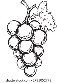 Disparo de estudio de alta clave de un racimo de uvas arte de línea detallada artística precisa audaz invitado