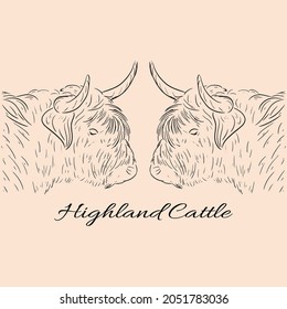Highland cattle hand drawn, editable vector file for your brand, logo, icon, or all of your graphic needs.