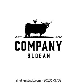 Highland Cattle and hen logo with vintage style design