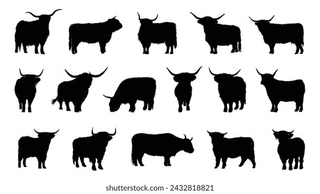 Highland cattle silhouette vector set