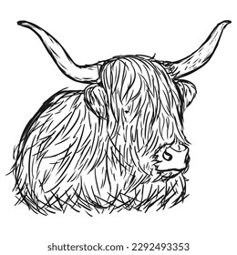 The Highland Cattle is a species of cow native to the Scottish Highlands and Scotland's Outer Hebrides island and has long horns and long hairy hair.