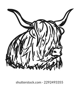 The Highland Cattle is a species of cow native to the Scottish Highlands and Scotland's Outer Hebrides island and has long horns and long hairy hair.