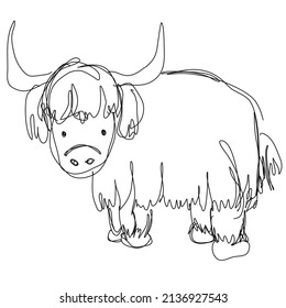 Highland Cattle Vector Line Sketch Illustration Stock Vector (Royalty ...