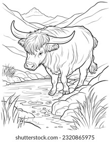 Highland Cow was drinking water from a river coloring page