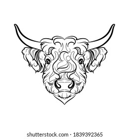 Highland cow (head). Line drawing. Black and white illustration. Vector.
