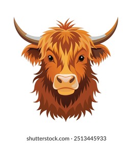 highland cow with horns vector 