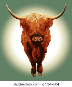 Highland Cow looking forward isolated vector on a green background.