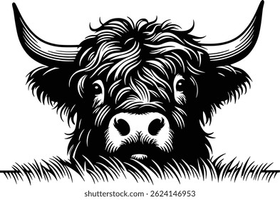 Highland Cow peeking with Shaggy Fur and Horns