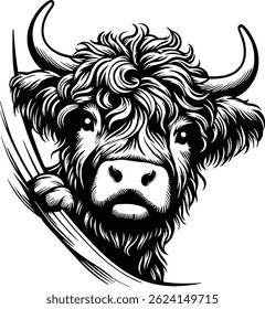 Highland Cow Peeking through design